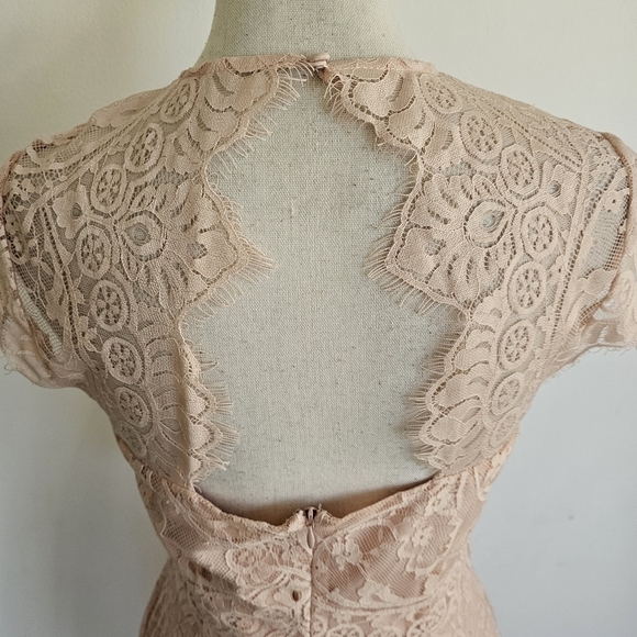 BB Dakota Pink Rose Smoke Lace Illusion Dress - Picture 7 of 10